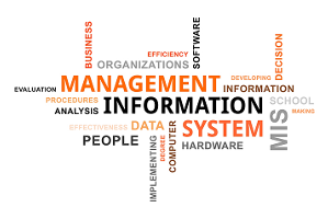Information Systems